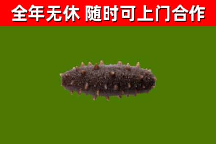 清江浦烟酒回收干海参.jpg